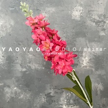 ��õ�tɫϵ���� õ�tɫ��Y�üٻ�·��������S�����l��