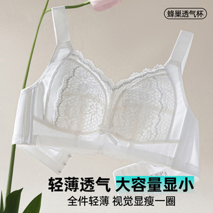 �ļ��o�Ȧ����Ů�����@С���������{�����ո����ļ��¿��ٽz����