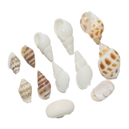 Single Hole Natural Shell Snail Pendant, Drilled Shell Snail Beads DIY Handmade Earrings Necklace Hat Accessory