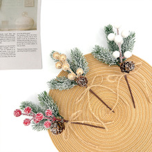 �}�Q�b���ѩ�����K����ɹ�����{��֦�}�Q������ӹ������}�Q��