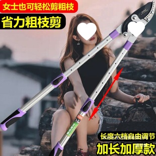 ����֦������ޘ�֦������֦�����޼�@�����Ѳ����s�Uʡ��