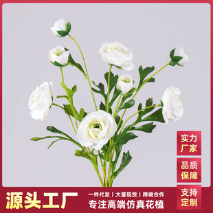 �羳2�^¶ɏëݢ���滨�Ҿ��b廨ܛ���̻��ľƵ��c�û����l