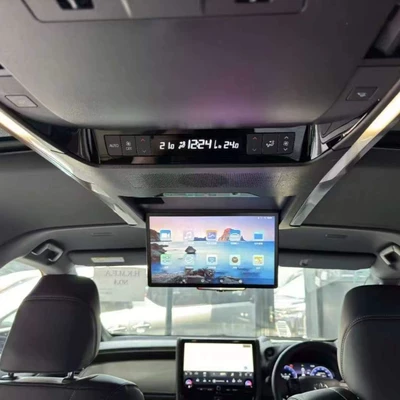 Alpha Ar40 Dedicated Ceiling-Mounted Car display