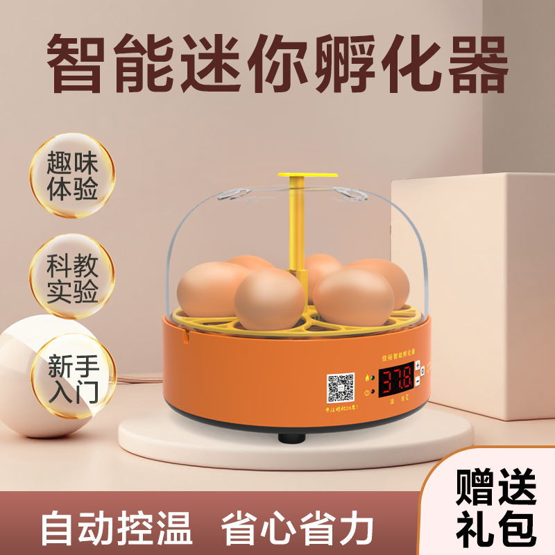 Incubadora experimental incubadora de pollo pequeño hogar automático huevo incubadora niños incubadora inteligente