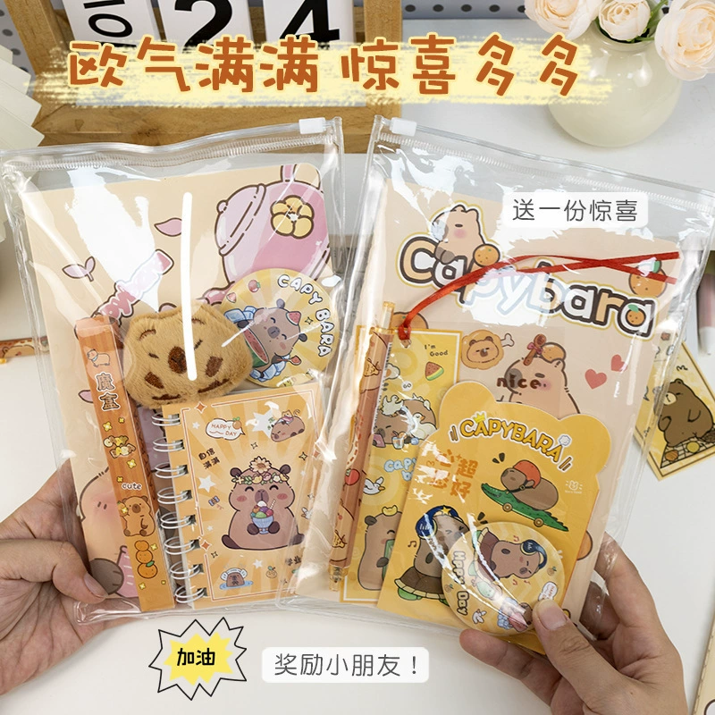 Creative stationery set, small clear pouch, for secondary school — birthday gift kit
