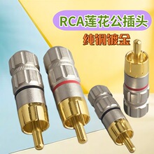 �~�^�~��僽�RCA�^  ������̖�����^ RCAɏ�����^ �l��DIY���l�^
