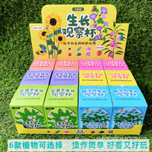 ��ͯ�ƌW���W���N�������P�ɻ����������}��ֲ���߹����L�^�챭