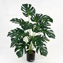 �羳�����ؙ�������Gֲ�쾰����������ԼҾӾƵ��b��W�Lֲ��