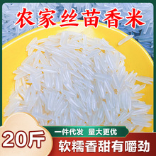 ��������1kg�z�����L������5���r���ܛŴ20���������������l