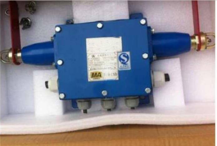 拉绳闭锁开关 型号G9001A-Z库M330525