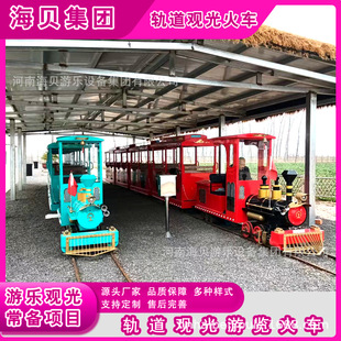 Internet-Famous Miniature Train Ride in Scenic Spots, Rideable Flower Sea Steam Train, Non-Powered Amusement Equipment