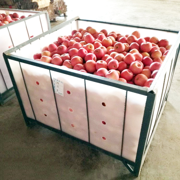 厂家批发供应河南 河北 烟台 威海 大连 苹果冷库围子板防水防潮