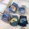 Dinosaur color mixed hair-no color choice