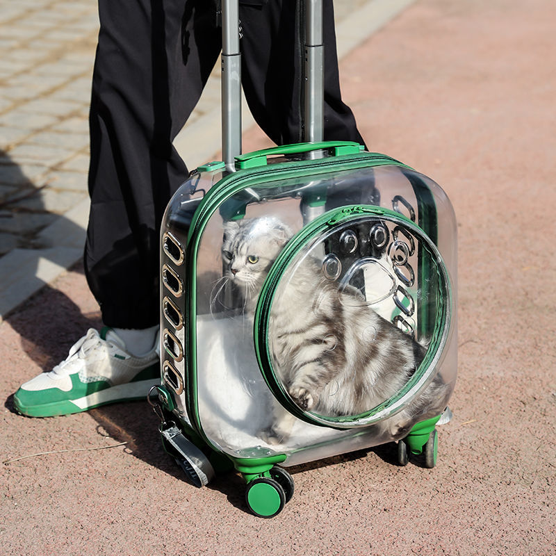 Bubble Cats and dogs go out Portable Pet dog Capsule capacity Kitty Draw bar box ventilation trunk