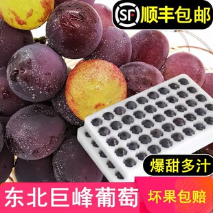 ��S���r�������rƹ����|���޷�����4�ﮔ�����w��õ���ЋDˮ��