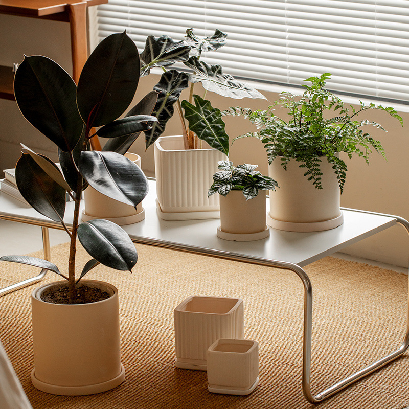 c2c17d93-2086-4c5f-8116-e039892ebeb7.jpe