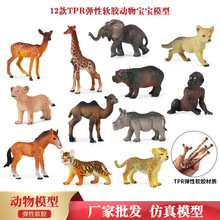 TPRܛ�zҰ�������ģ�ͷ��濨ͨ÷��¹�ϻ���������[�����b