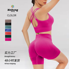 歐美夏季交叉美背文胸運動無縫瑜伽服套裝性感透氣提臀瑜伽褲跨境