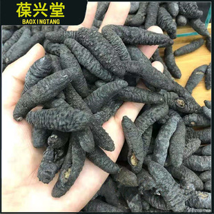 ������؛������С�״̅�20�^~200�^Ҏ���ׅ�500g����̅�һ�����l