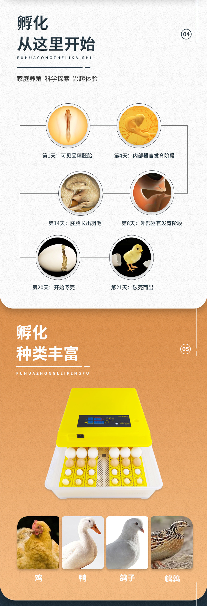 48枚单电源（花篮蛋盘）已修改_03