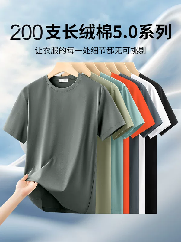 Velvet cotton thin silk elite short sleeve T-shirt with a round collar, high-quality style
