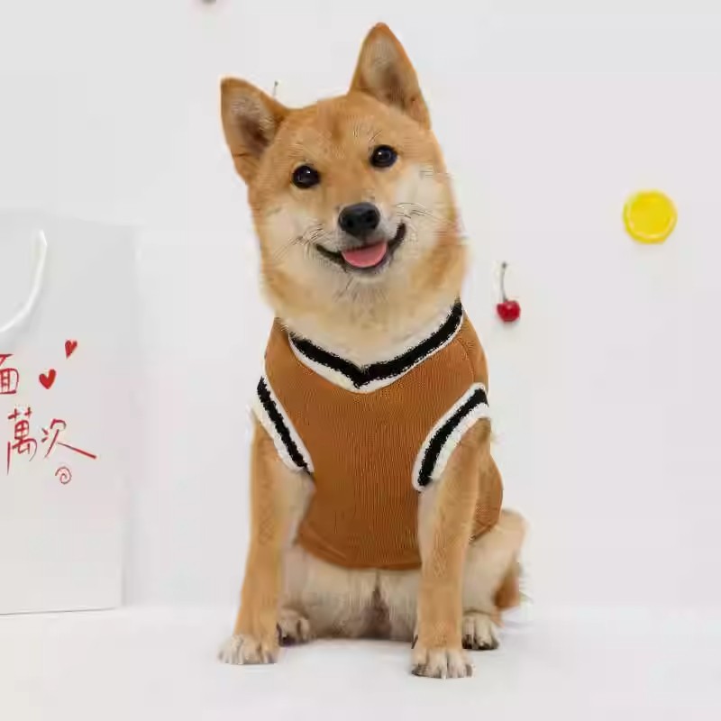 商品图