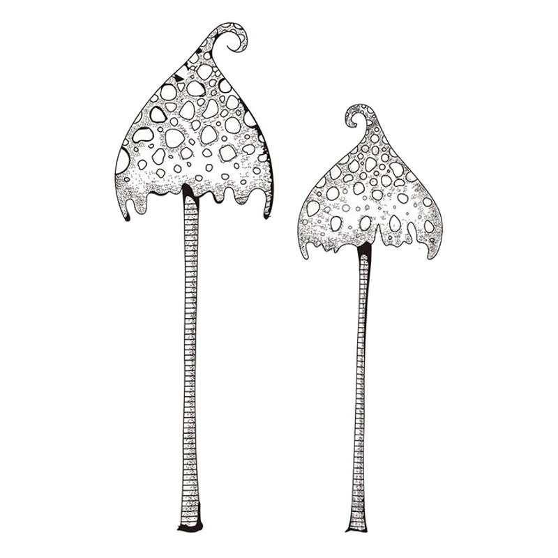 Serie de hadas diario sello tarjeta de felicitación de DIY sello de PVC en stock