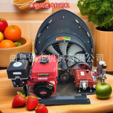 ܇dʽ@L͚xFO Ϳɶ߉șC