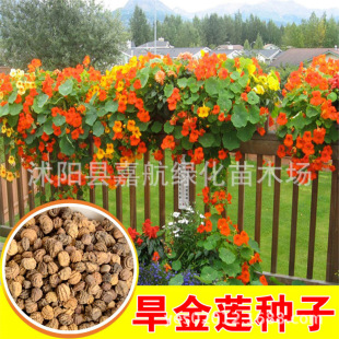 ����ɏ�N�Ӻ��ɻ��N�������ٻ��ܷN���҃��̨���Դ����ﲥ�N�ļ�