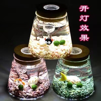Ecological bottle high borosilized hydroponic plant micro -landscape…