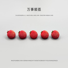 微景观创意荔枝车载摆件大号水果食玩diy装饰品盲袋配件小摆件