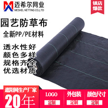 PPϻزɫr÷ݲ@ˇ@ݲPE|oĤS