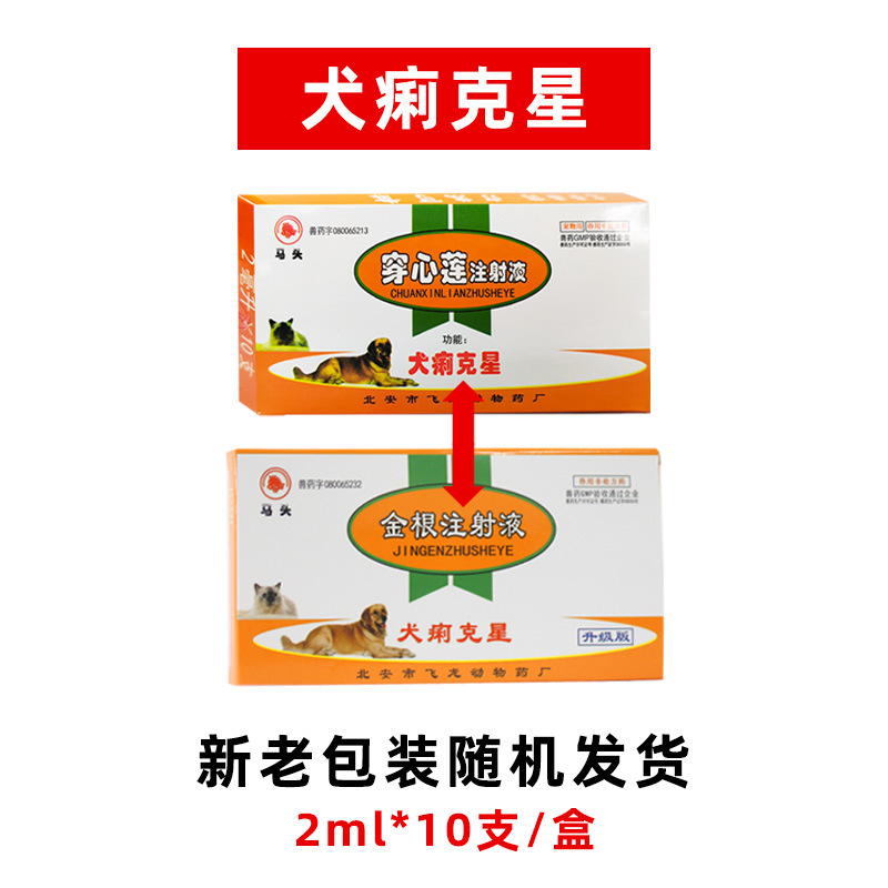 12Y Dog Dysentery Buster (2ml*10 pieces/box)