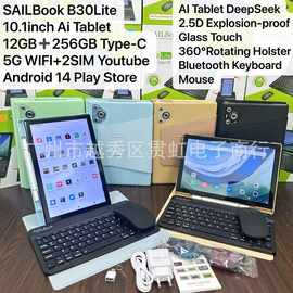 Export SAILBook B30Lite 10.1寸 AI Tab Unbreakable Screen Sim