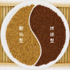 卸売りの苦いそばのお茶の竜珠の黒の苦いそばの黄の苦いそばの胚芽の苦いそばのお茶の大きい商品の卸売りの上で枝を供給します。