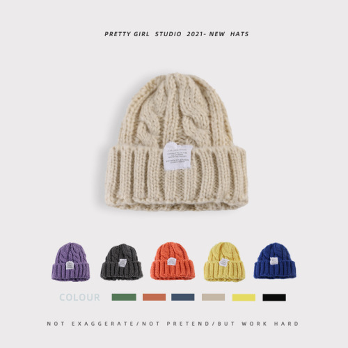 Knit Hat for Women Autumn, Warm and Windproof, Versatile Hooded Hat, Korean Style, Casual and Fashionable, Loose Ear Warm Winter Hat