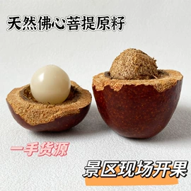 佛珠/念珠;其他乐器;植物工艺品