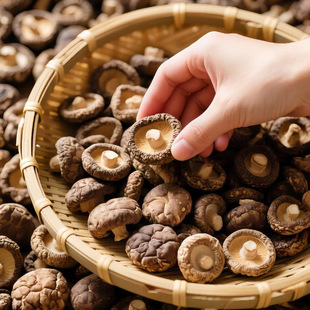 ���ɾ�����N����ɿ�����ԟ�����q��F���i�r�iζ�i�I�B