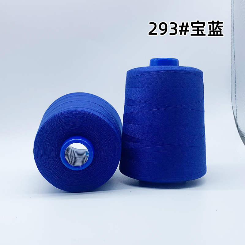 202 굵은 선-사파이어 블루