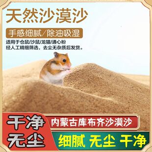ɳĮ��ɳɳ����Ȼ��ɳɳ���˹�ɳ��ɳĮ���^���`�Bϴ��}�������l