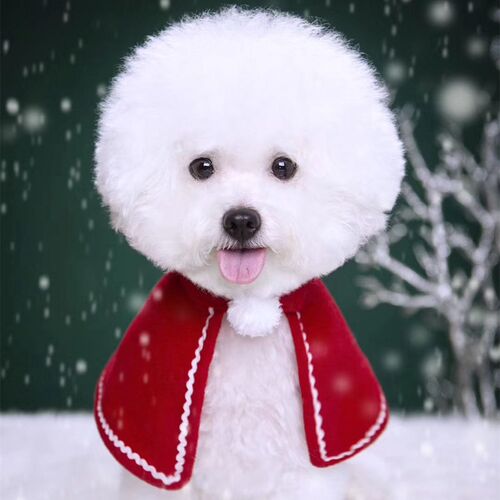 Pet Cat Chinese Style Neck Scarf Cape for Cats and Dogs, Teddy and Bichon Small Dog Clothes Neck Scarf Cape