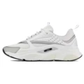 B22 Silver White