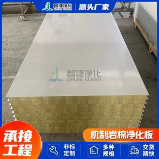 定制机制岩棉净化板复合彩钢洁净板保温防火食品车间岩棉净化板