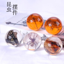 ���S�������x�˱� ����˱�͸���� ��֬������x��悹�ˇ�YƷ�[��