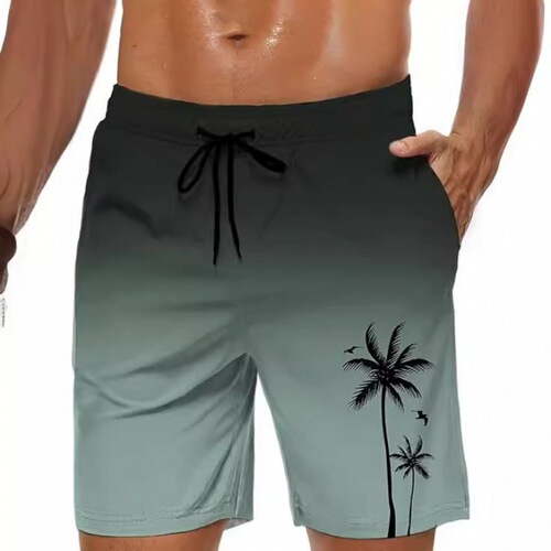 2025 Hawaii Series Shorts for Men - European and American Style 3D Printed Casual Loose Thin 5-inch Beach Pants