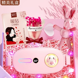 电热护膝护腰;电热暖宫带;美容喷雾仪