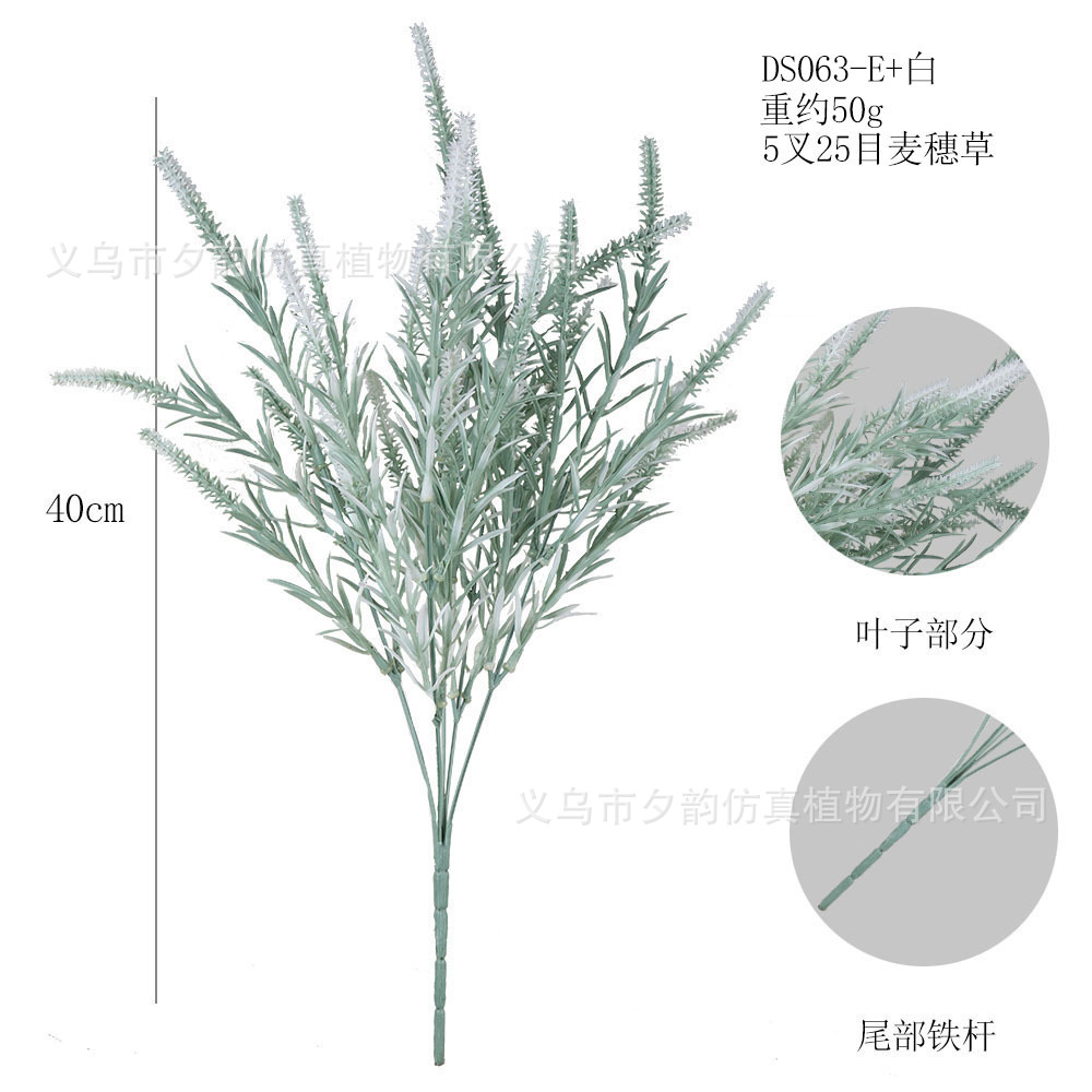 DS063-회백색 5갈래 밀싹 머리