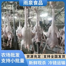 ���ں����Z�F�׬F���F�l���h���ع��Z�Ƶ��ʽ��͏d���ß��D���Z