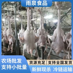 ���ں����Z�F�׬F���F�l���h���ع��Z�Ƶ��ʽ��͏d���ß��D���Z