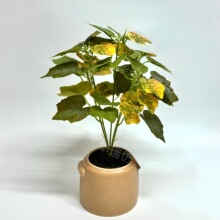 �S��ֱ�N����14��5�^���ѾG�~���ϻ��ٗl�Gֲ���b� diy�ֹ��b�